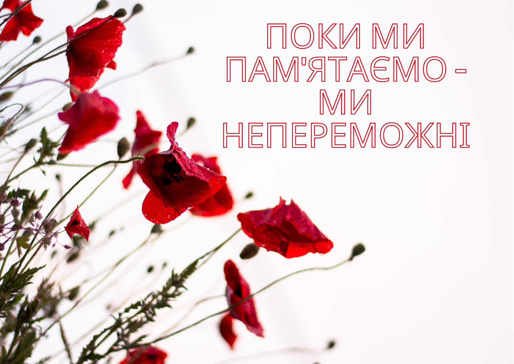 title_photo